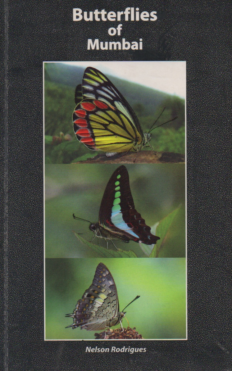 Nelson-Rodrigues-Cover-Pic.jpeg