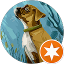 B K profile picture